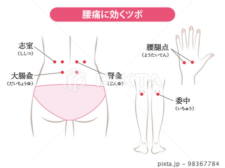 腰痛に効くツボ 腰痛に効くツボ 98367784