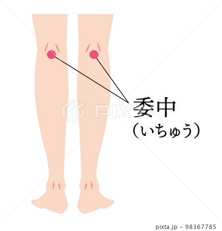 足のツボ 委中 足のツボ 委中 98367785