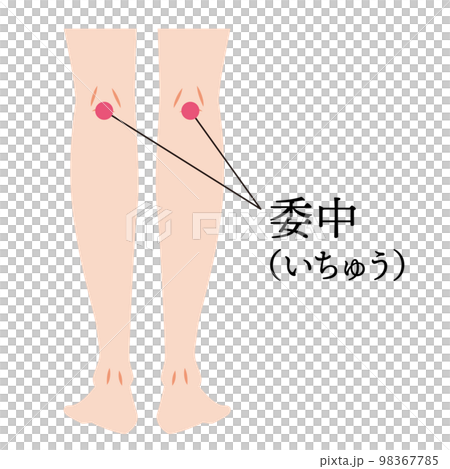 足のツボ 委中 足のツボ 委中 98367785