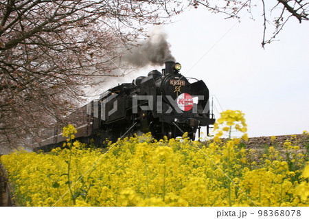 真岡鉄道SL 98368078
