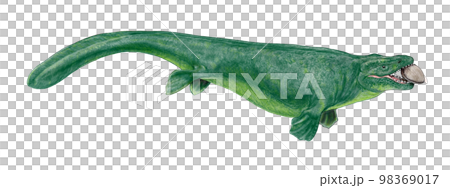 愛海蜥蜴 Golbidens alabamaensis 98369017