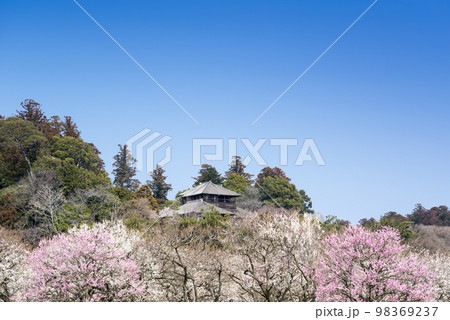 偕楽園 偕楽園 98369237