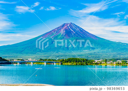 夏の河口湖と富士山 98369653