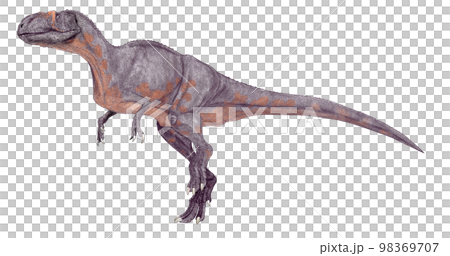 四川陽川龍的晚侏羅世暴龍 98369707