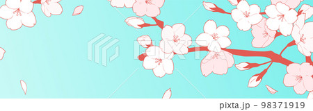 フレーム素材_桜 98371919