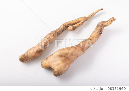 短形自然薯　(たんけいじねんじょ) 98371960