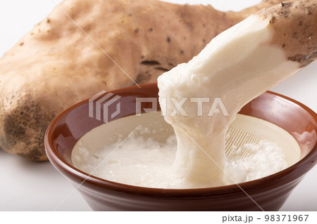 短形自然薯 (たんけいじねんじょ) 短形自然薯 (たんけいじねんじょ) 98371967