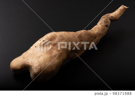 短形自然薯　(たんけいじねんじょ) 98371988