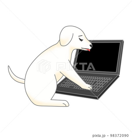 黒色のノートパソコンを触る困った表情の白色の子犬（ラブラドール・レトリーバー） 98372090
