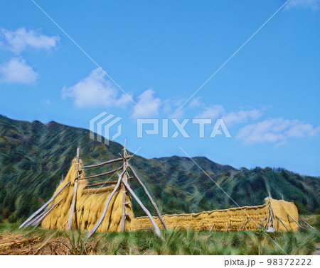 稲架掛け　田園風景 98372222