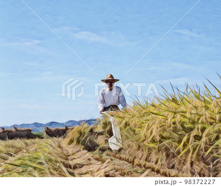 稲刈り　田園風景 98372227