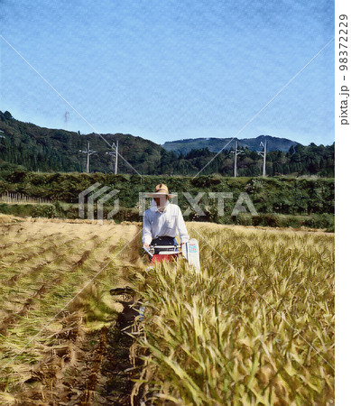 稲刈り 田園風景 稲刈り 田園風景 98372229