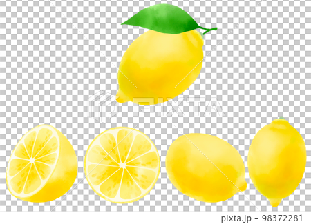 Lemon illustration set expressed in watercolor Lemon illustration set expressed in watercolor 98372281