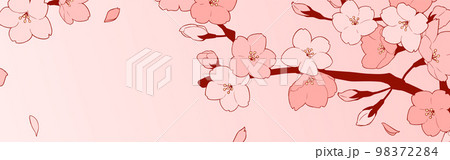 フレーム素材_桜 フレーム素材_桜 98372284