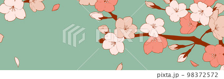 フレーム素材_桜 フレーム素材_桜 98372572