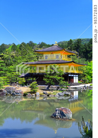 【京都府】新緑の金閣寺(鹿苑寺) 【京都府】新緑の金閣寺(鹿苑寺) 98372883