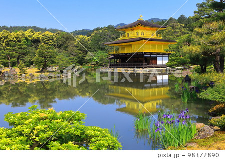 【京都府】新緑の金閣寺（鹿苑寺） 98372890
