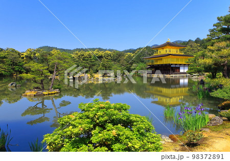 【京都府】新緑の金閣寺（鹿苑寺） 98372891