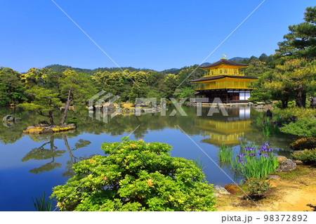 【京都府】新緑の金閣寺(鹿苑寺) 【京都府】新緑の金閣寺(鹿苑寺) 98372892