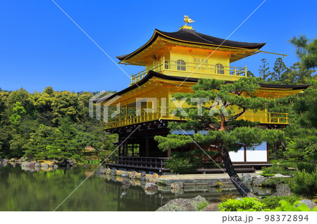 【京都府】初夏の金閣寺（鹿苑寺） 98372894