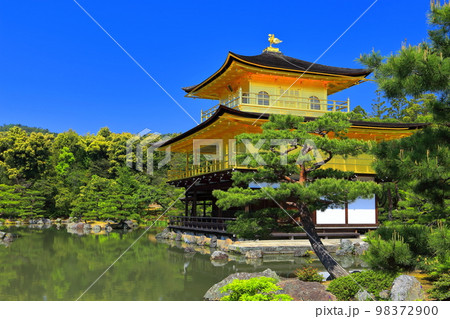 【京都府】初夏の金閣寺(鹿苑寺) 【京都府】初夏の金閣寺(鹿苑寺) 98372900