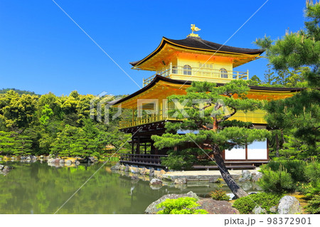 【京都府】初夏の金閣寺(鹿苑寺) 【京都府】初夏の金閣寺(鹿苑寺) 98372901