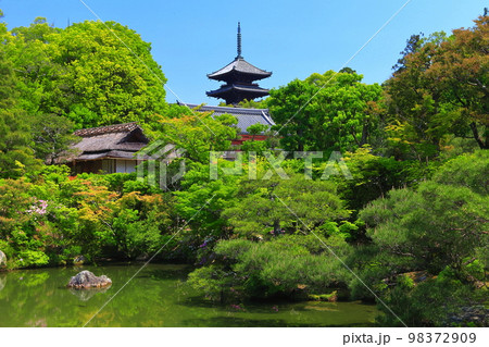 【京都府】万緑の北庭と五重塔(仁和寺) 【京都府】万緑の北庭と五重塔(仁和寺) 98372909