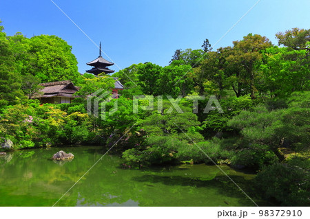 【京都府】万緑の北庭と五重塔（仁和寺） 98372910