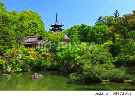 【京都府】万緑の北庭と五重塔(仁和寺) 【京都府】万緑の北庭と五重塔(仁和寺) 98372912