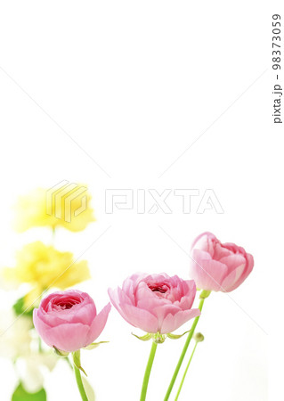 imager clipart of flowers