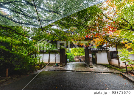 京都　雨の龍安寺紅葉時期の山門 98375670