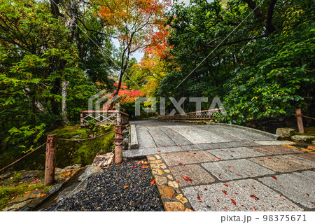 京都　雨の龍安寺紅葉時期の石橋の参道 98375671
