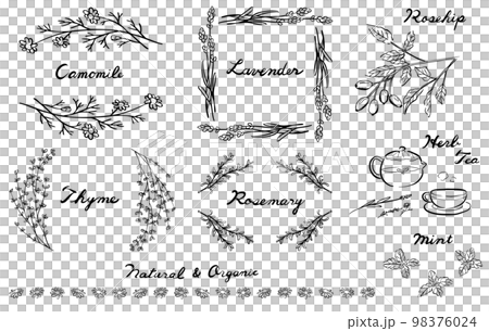 Herb illustration and frame 1 color Herb illustration and frame 1 color 98376024