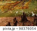 紅葉 98376054