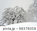 雪景色　 98376058