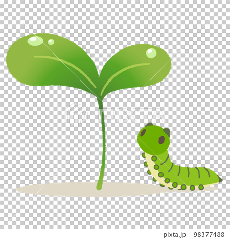 Cute illustration of sprouts and caterpillars of Futaba 2 98377488