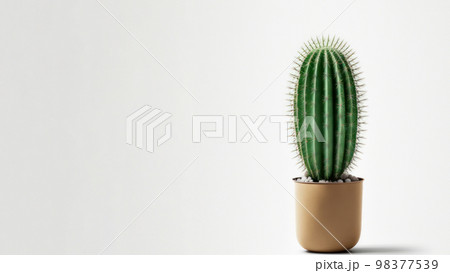 Minimal cactus on white background with copy space. Graphic design illustration Minimal cactus on white background with copy space. Graphic design illustration 98377539