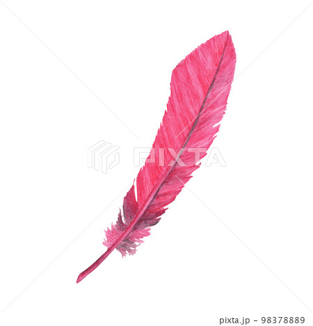 Vibrant feather. Bird feather. Boho style wings. Watercolor illustration. 98378889