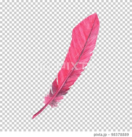 Vibrant feather. Bird feather. Boho style wings. Watercolor illustration. 98378889
