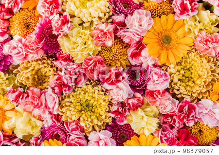 一面に敷き詰められた黄・赤・ピンクの花 98379057