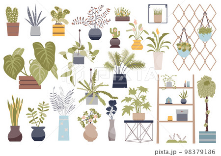 House plants isolated elements set. Bundle of domestic potted houseplant and blooming flowers, shelves with pots, hanging plants and other. Creator kit for vector illustration in flat cartoon design House plants isolated elements set. Bundle of domestic potted houseplant and blooming flowers, shelves with pots, hanging plants and other. Creator kit for vector illustration in flat cartoon design 98379186