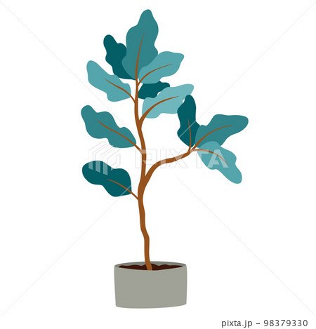Potted house plant. Foliage houseplant growing in flowerpot. Green leaf decoration for home interior. Natural indoor decor. Hand draw vector illustration isolated on white background 98379330