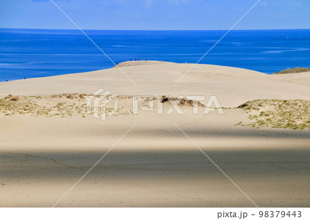 鳥取砂丘（鳥取県・鳥取市） 98379443