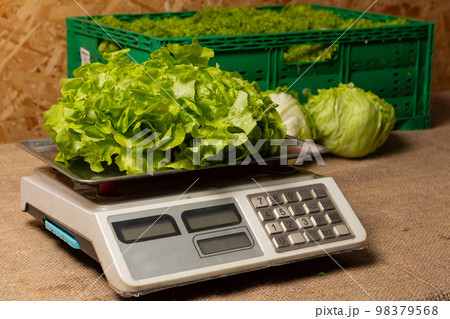 Shop selling lettuce, scales with lettuce in the foreground and box with lettuce in the background Shop selling lettuce, scales with lettuce in the foreground and box with lettuce in the background 98379568