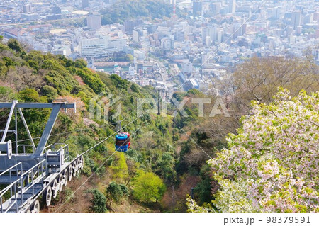 徳島市　桜の咲く眉山山頂から市街を望む 98379591