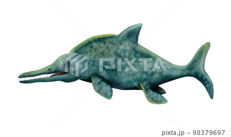Dark blue green marine dinosaur Ichthyosaur isolated on white. Swimming ancient dolphin watercolor illustration 98379697