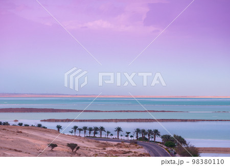 Dead Sea in the morning. Palm trees on the beach. Beautiful sea nature landscape. Israel Dead Sea in the morning. Palm trees on the beach. Beautiful sea nature landscape. Israel 98380110
