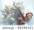 白いテーブルの上のサンゴと貝殻 98380141