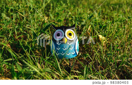 A toy of a surprised blue-colored owl with multi-colored eyes close-up stands in the middle of green grass in the light of the evening sun 98380403