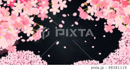 桜 桜まつり 夜桜 背景素材 桜 桜まつり 夜桜 背景素材 98381119